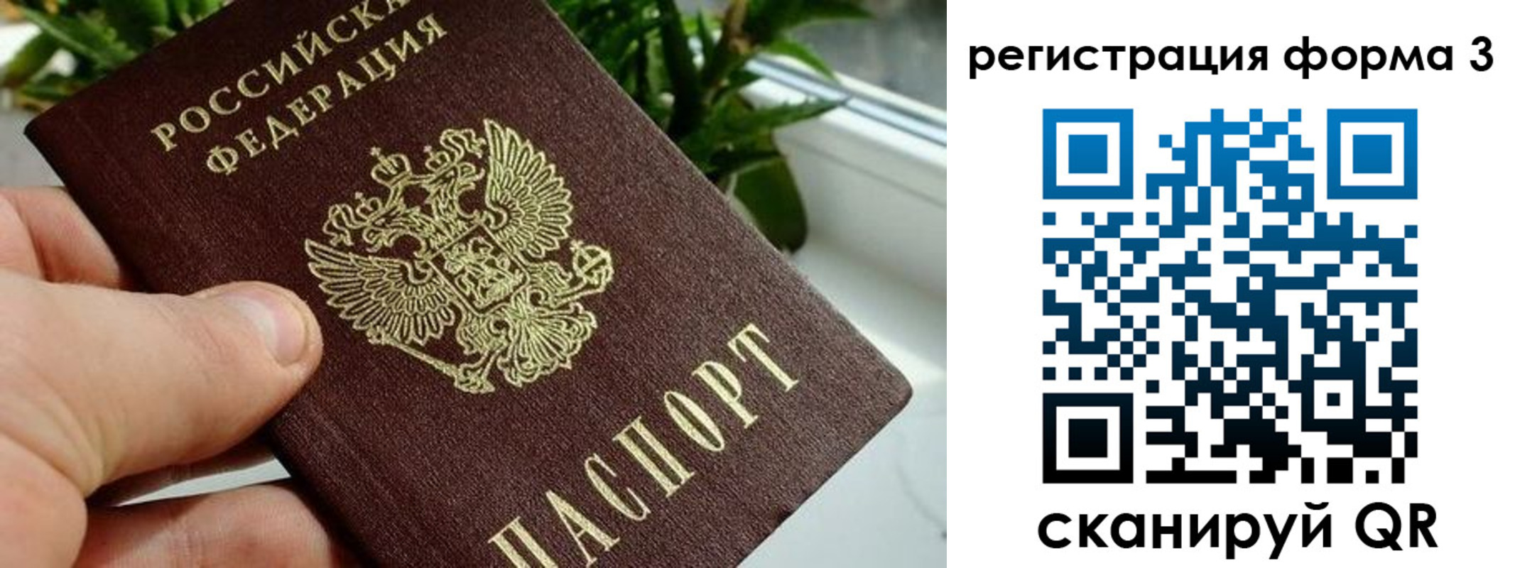 прописка штамп в Жукове